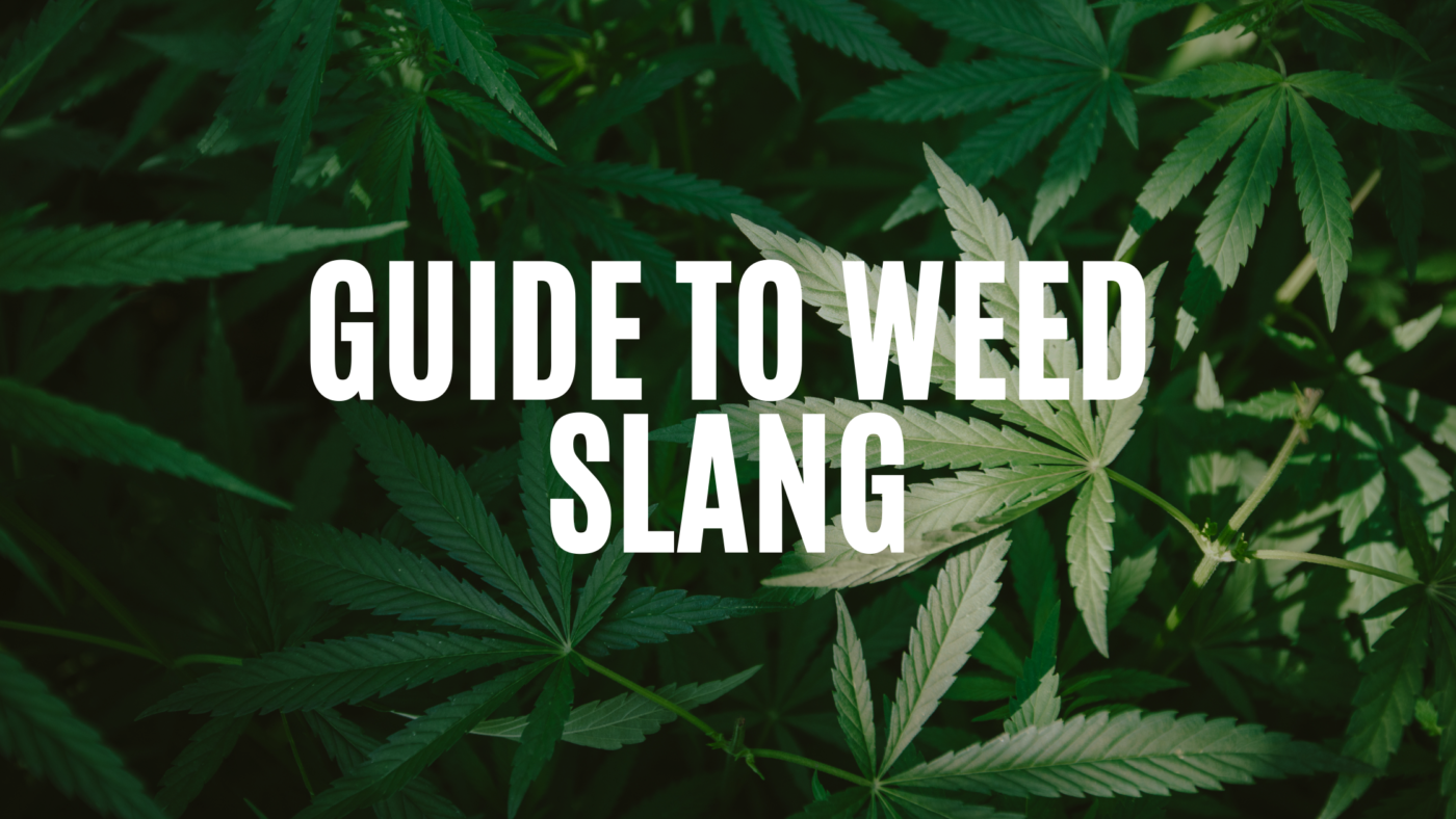 guide-to-weed-slang
