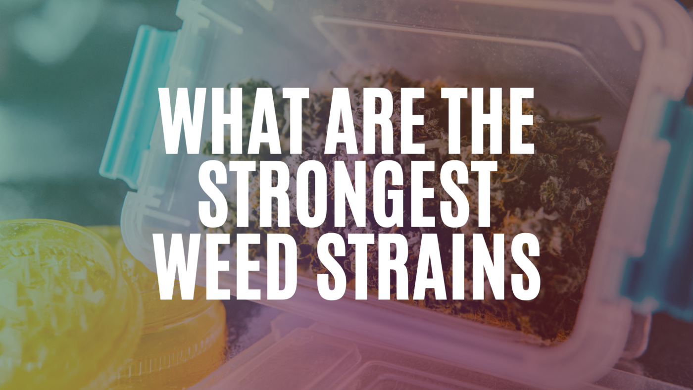 what-are-the-strongest-weed-strains