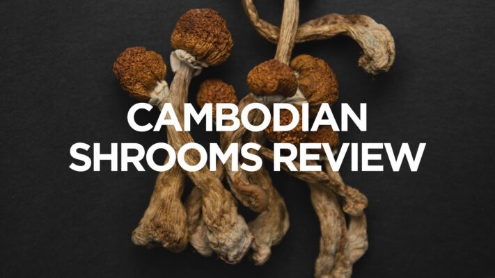 cambodian-shrooms-review