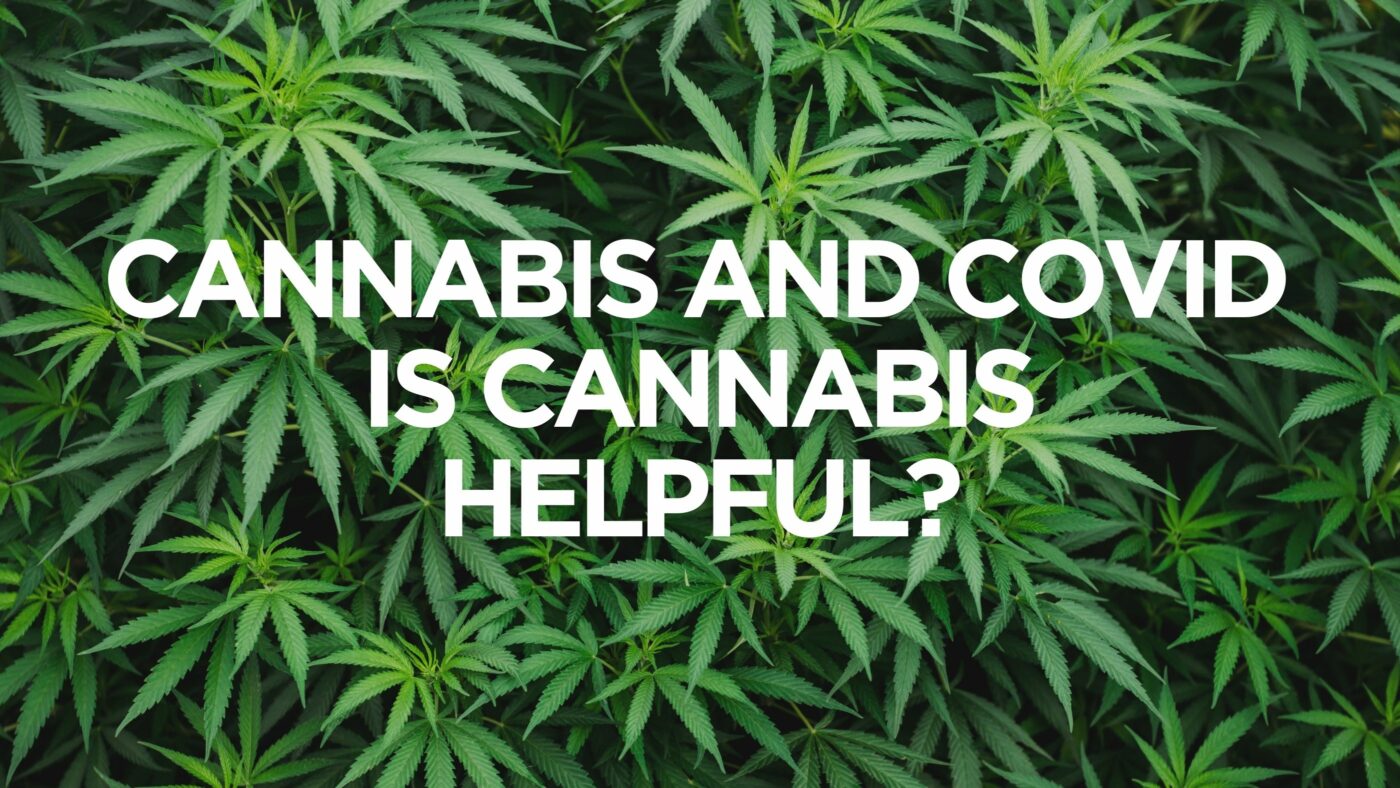 cannabis-and-covid-is-cannabis-helpful