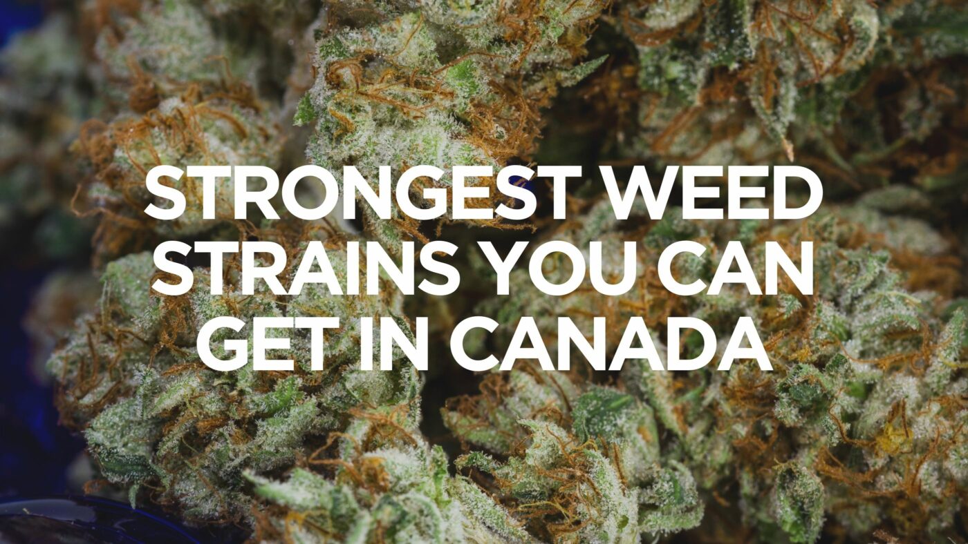 strongest-weed-strains-you-can-get-in-canada