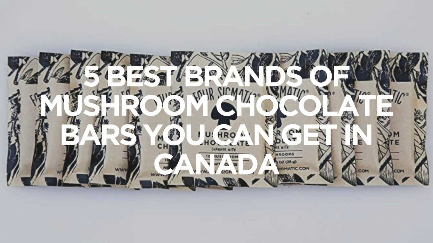5-best-brands-of-mushroom-chocolate-bars-you-can-get-in-canada