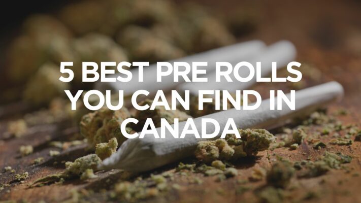 5-best-pre-rolls-you-can-find-in-canada