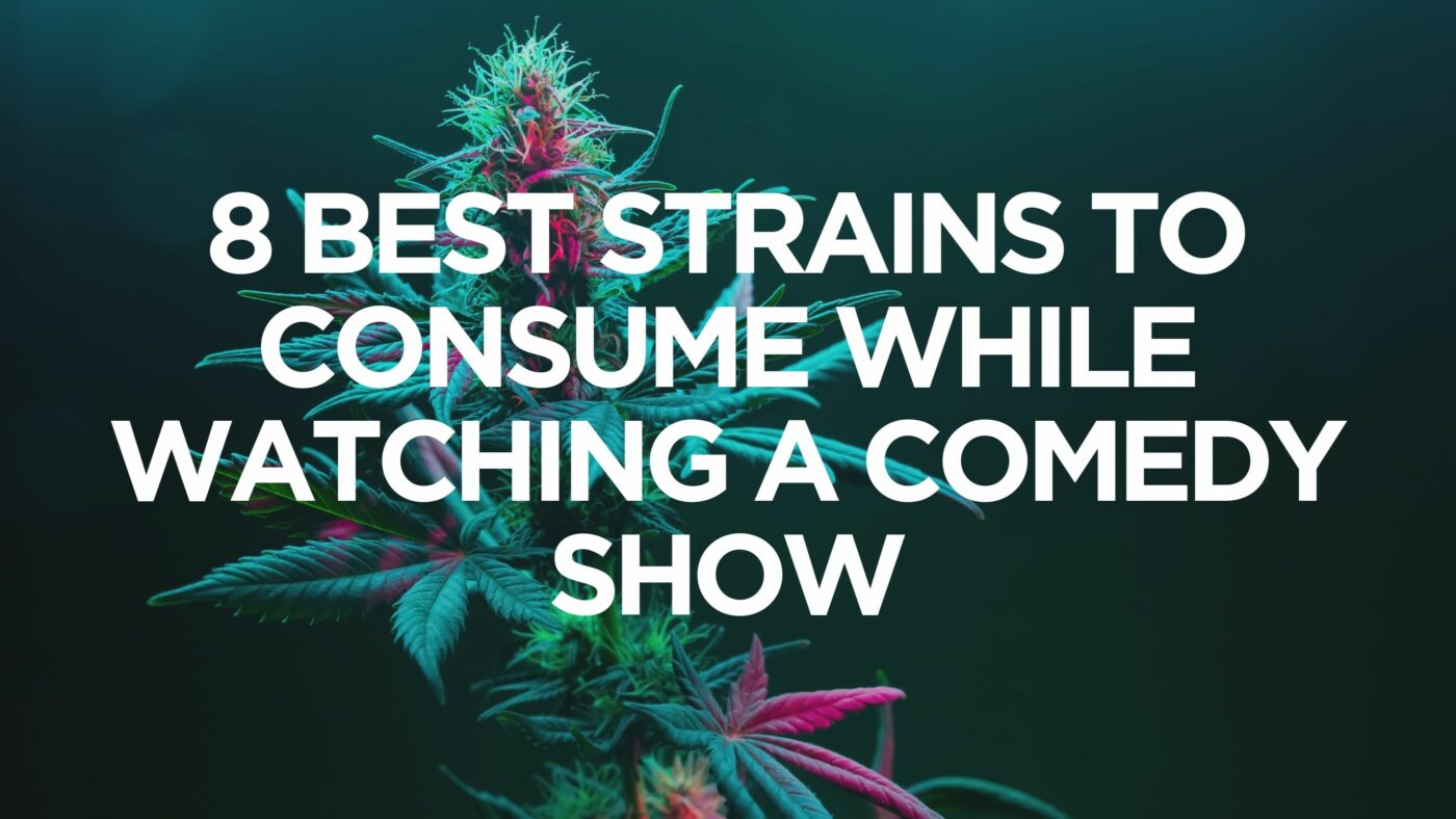 8-best-strains-to-consume-while-watching-a-comedy-show